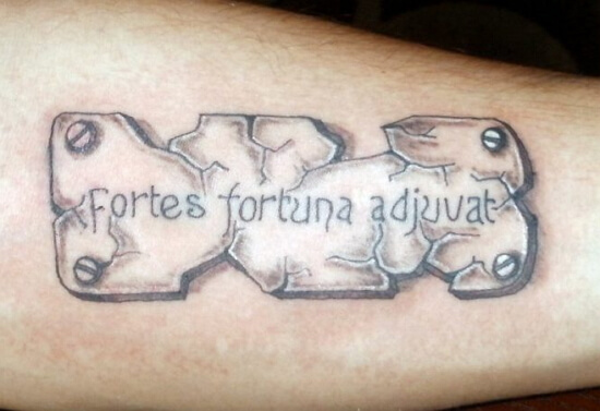 Fortes fortuna adjuvat эскиз - 93 фото